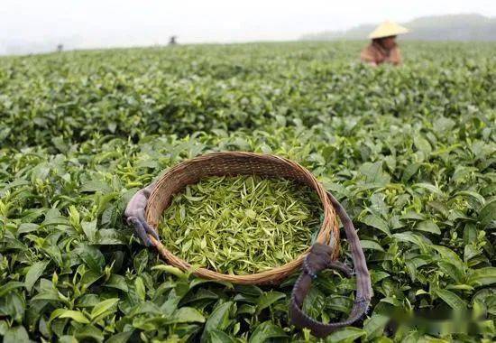 散装食品销售管理办法，老师傅教你避开常见
